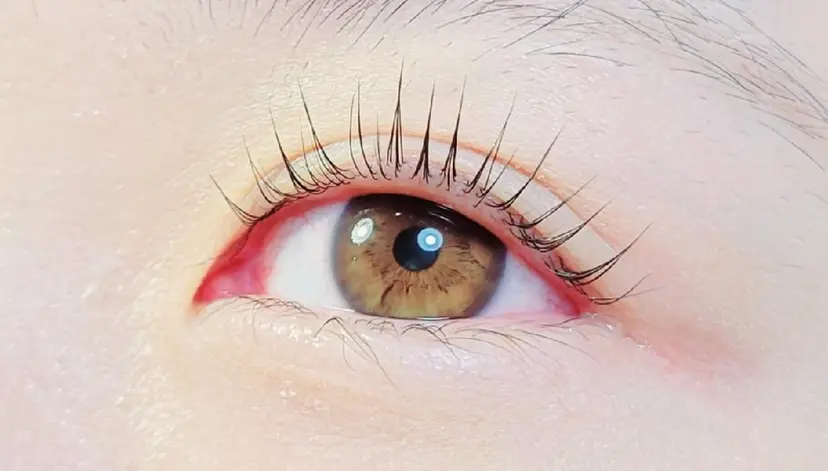 上田 真貴子の掲載