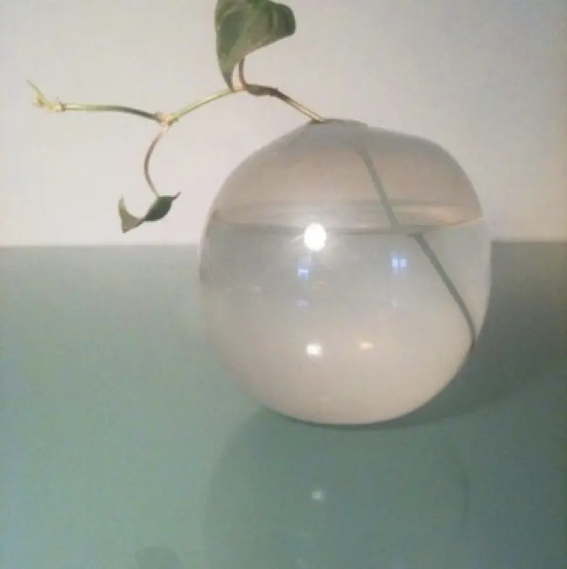 Dreap chikakoの掲載