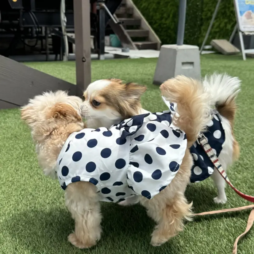 髪質改善韓国レイヤー SHIORI🦋の掲載