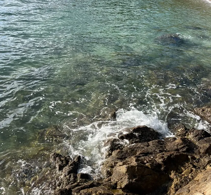 河田 綺香の掲載