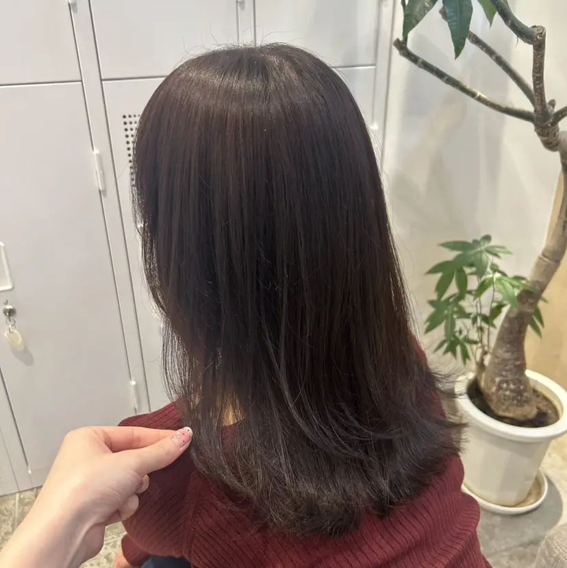 青山 里帆の掲載