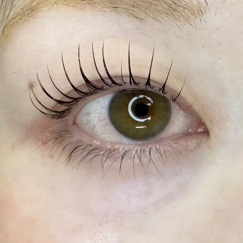 Eyelash Lily🤍花塚の掲載