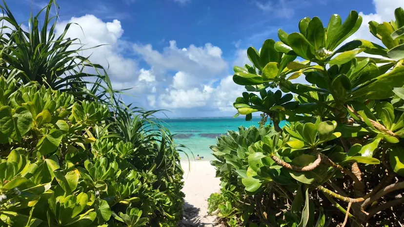 hinami |スクール生💅🏼の掲載