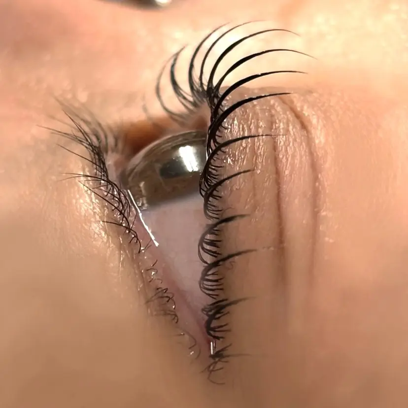 eyelash SAEの掲載