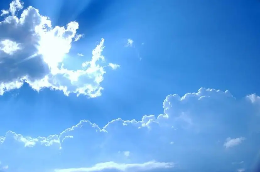 🪽yoshino miku 🩵の掲載