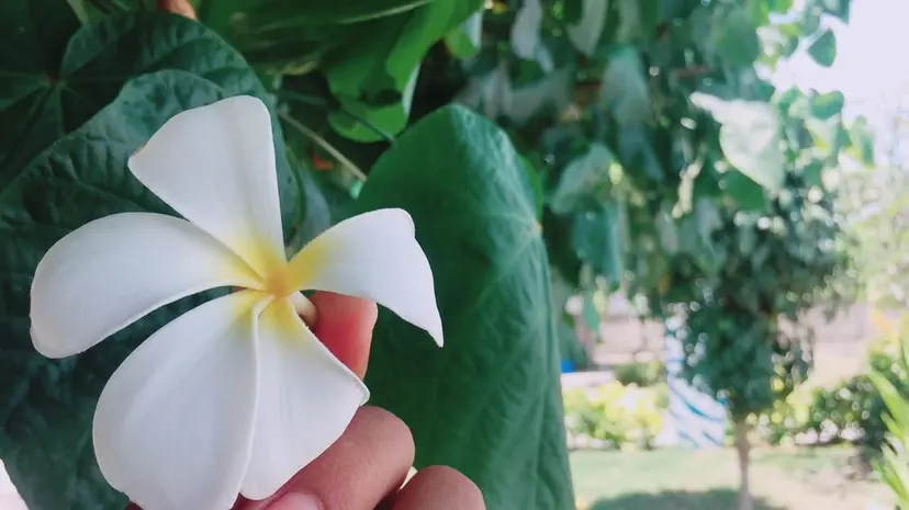 Gypsy恵比寿店 YUAの掲載