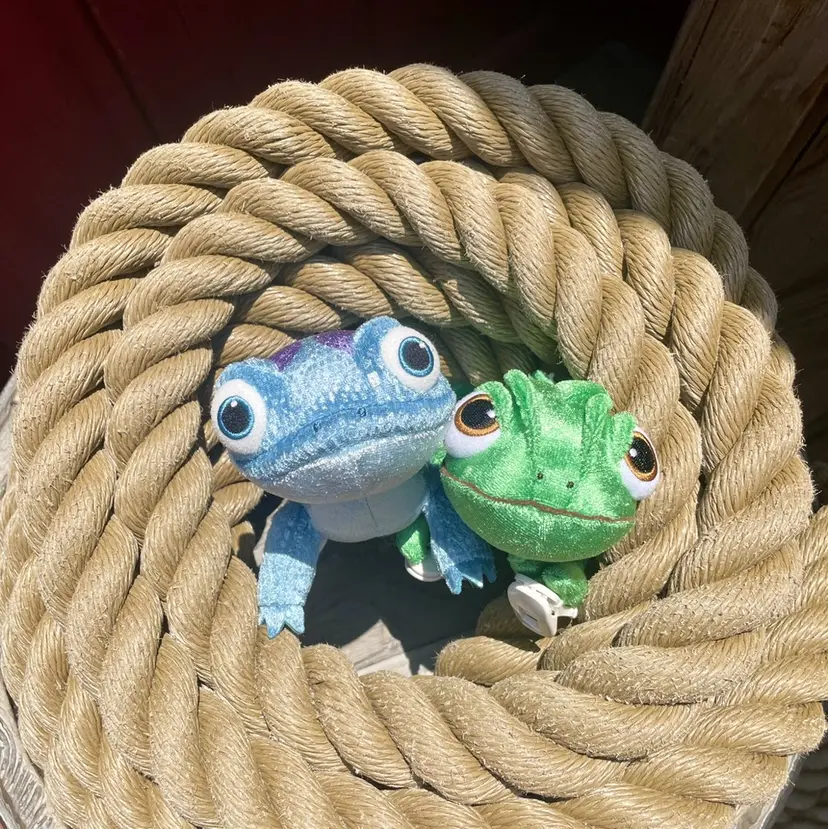 ✨️ショートカット 石川 潤の掲載