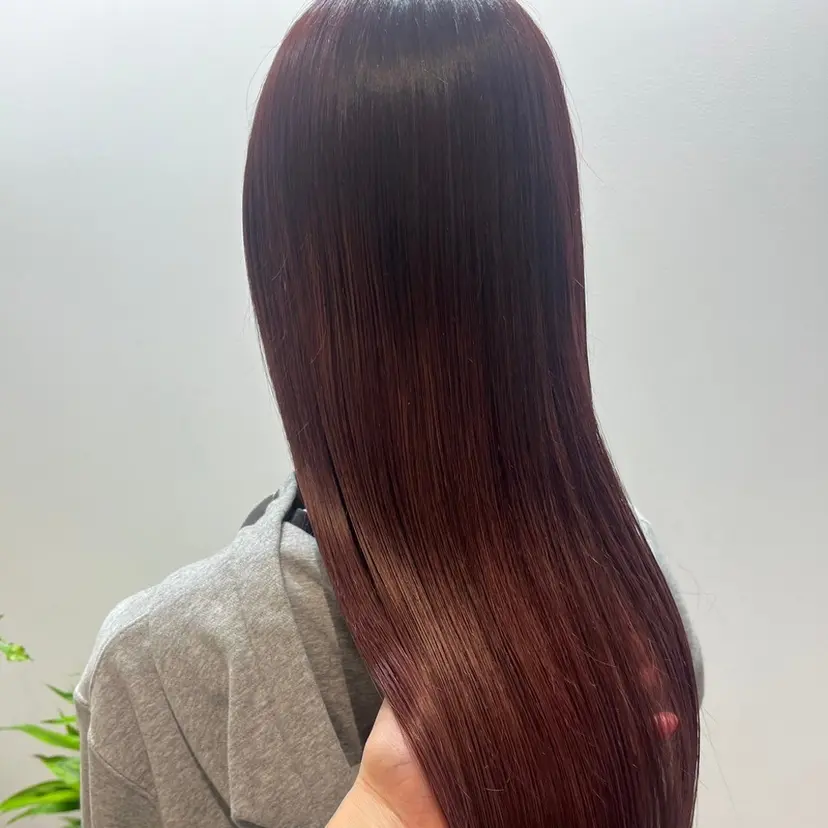 MORI HARUTOの掲載