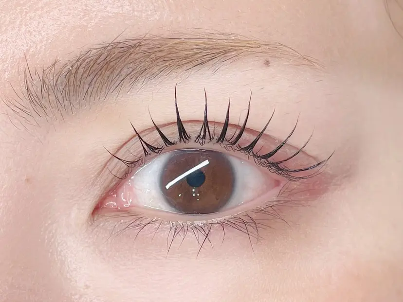 竹内 桜子の掲載