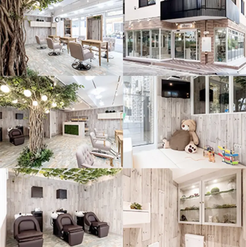 albero🧸 🌳鈴木遥菜の掲載