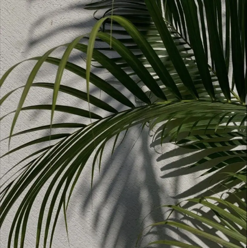 BLITZ Nana❤️‍🔥の掲載