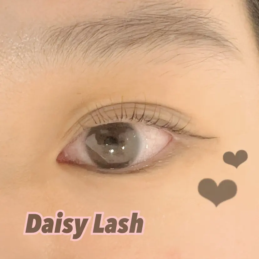 デイジーラッシュ 第3ビル 吉谷の掲載