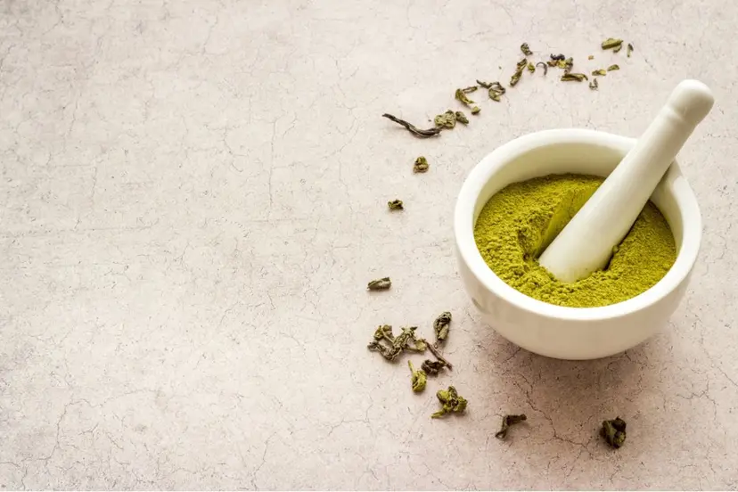 無料モデル/白髪染め /ヘナ/吹田市千里山の掲載