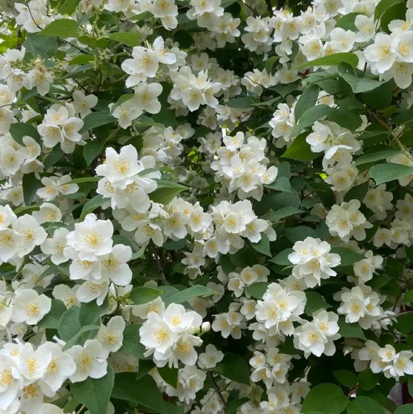 AKIHO 福岡/大濠美容室の掲載