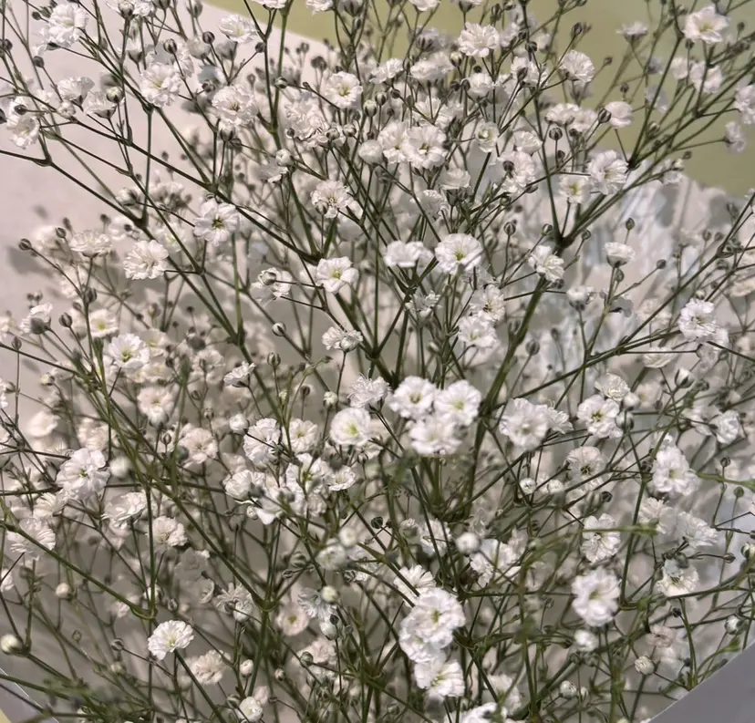 Hair&Make キキの掲載