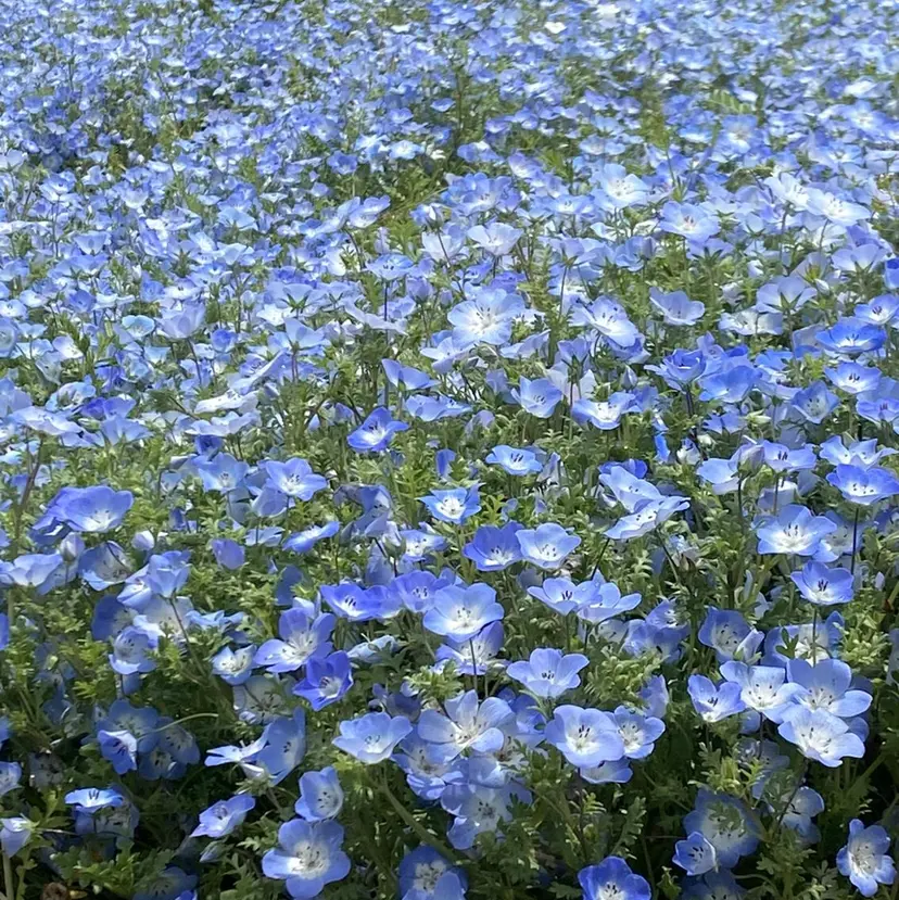 川﨑 奈々美の掲載