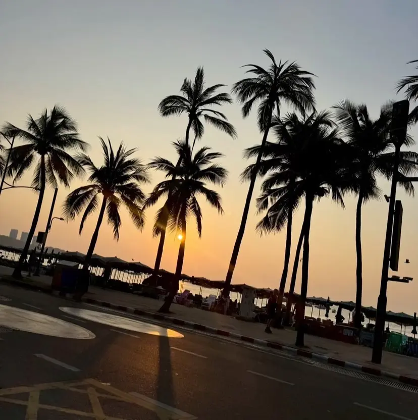 鳥海 昇太の掲載