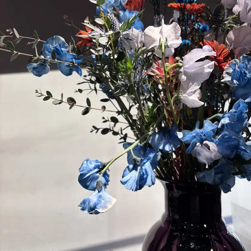 高相 乃愛の掲載