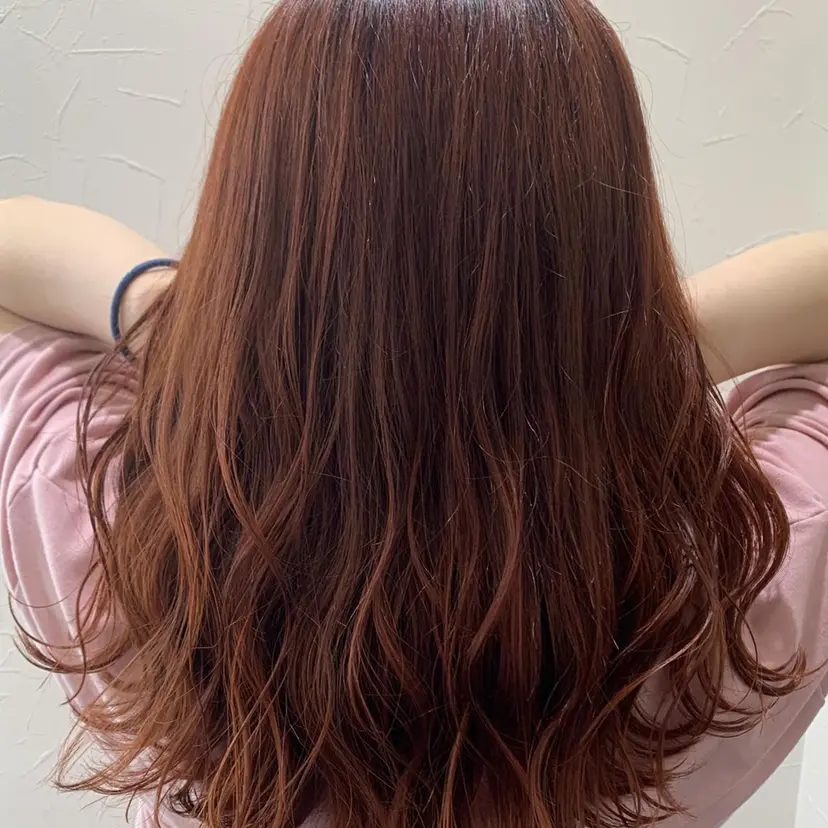 福島 雪華の掲載