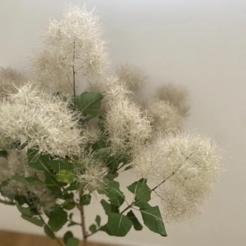 まつ毛パーマまつエク 緑が丘徒歩1分/松田の掲載