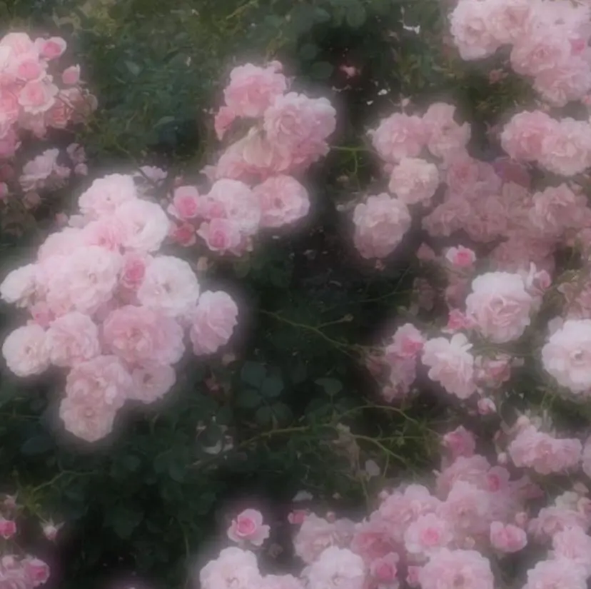 イケハラ ナナミの掲載