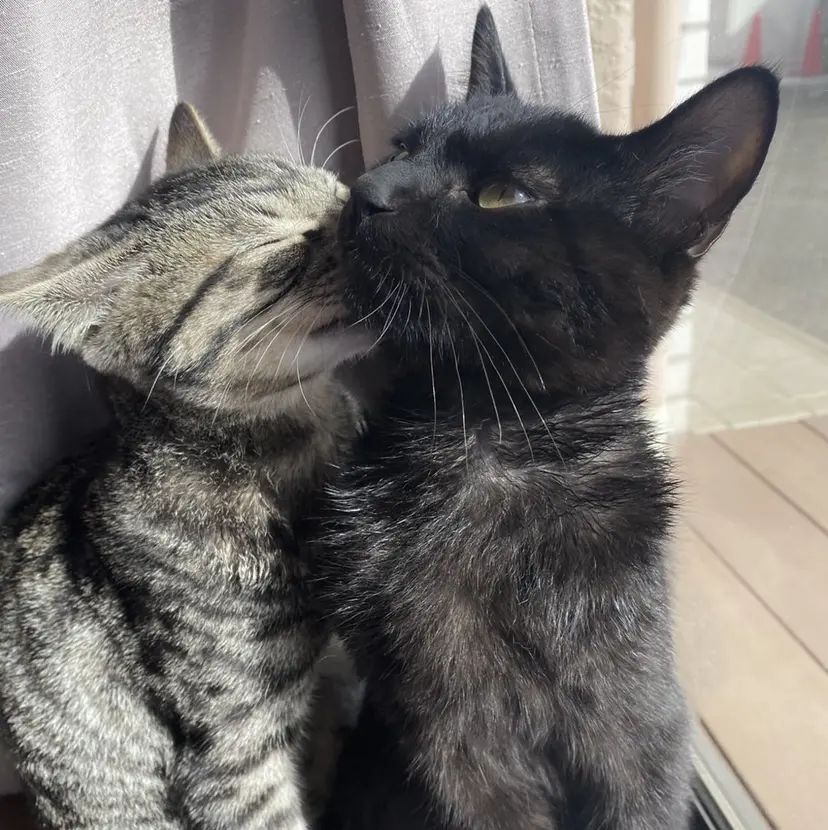 プラスアイ 立川北口店の掲載