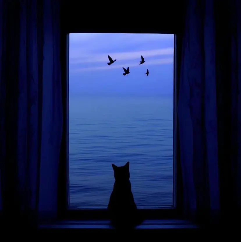 set-up kyokaの掲載