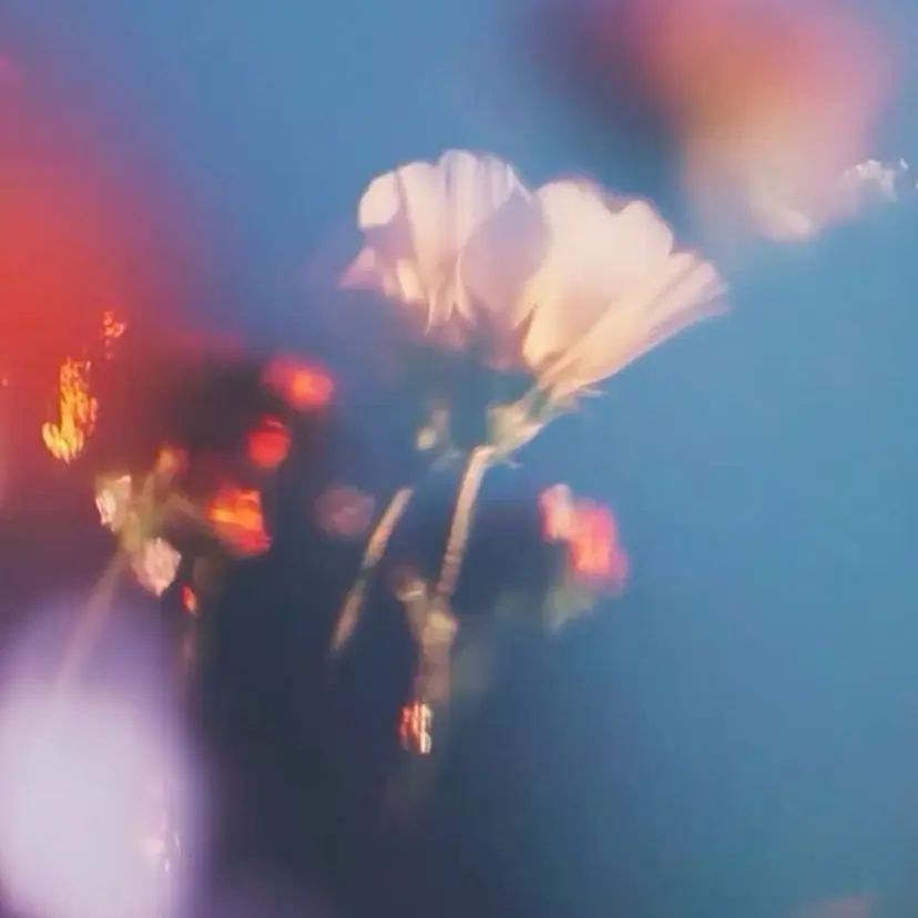 ルシードアイラッシュ mamiの掲載