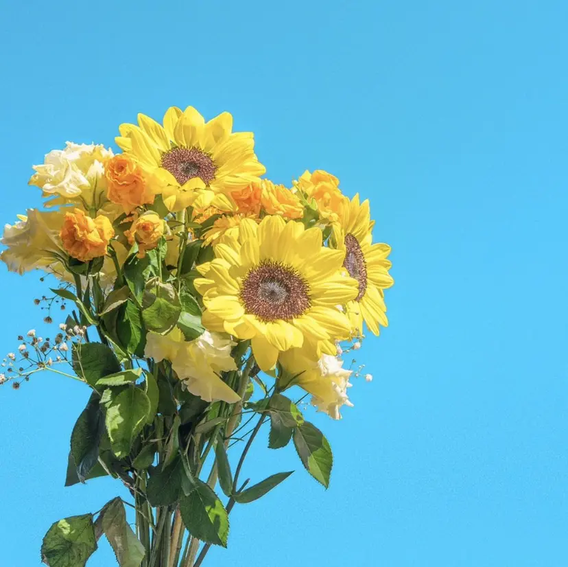 yuko 〜be 高槻店💅の掲載