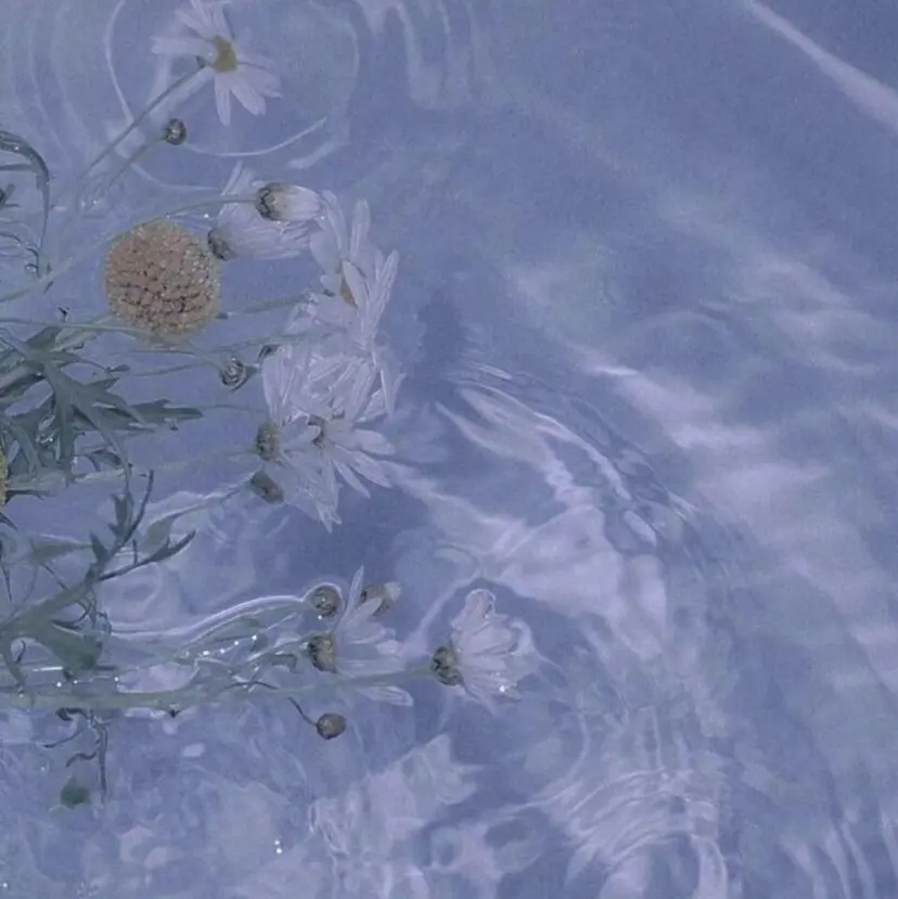 さやま せなの掲載