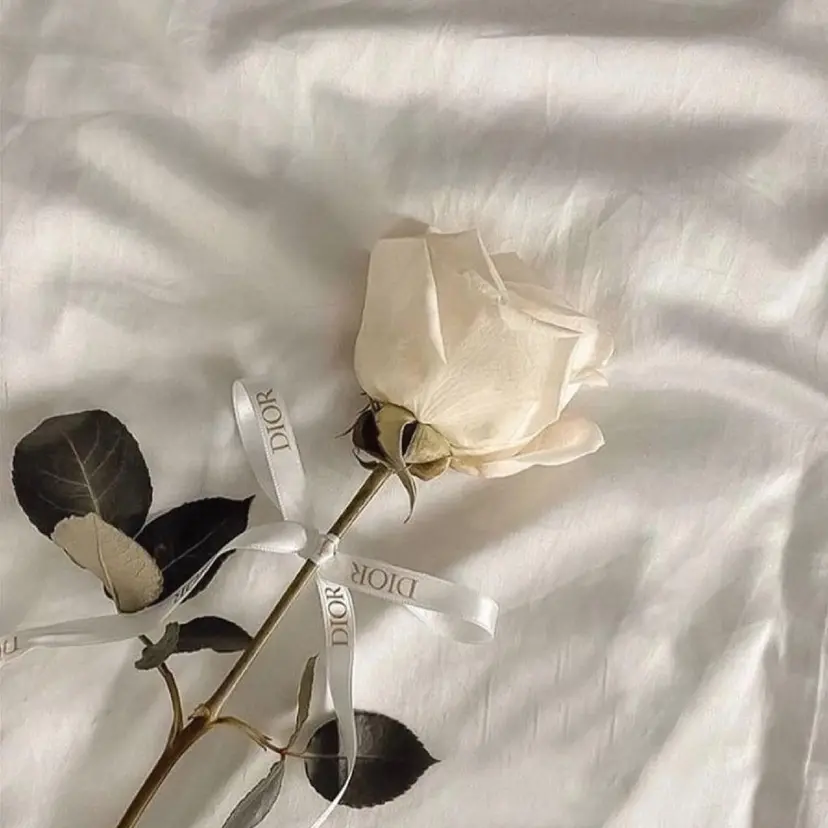 ookuma 横浜店の掲載