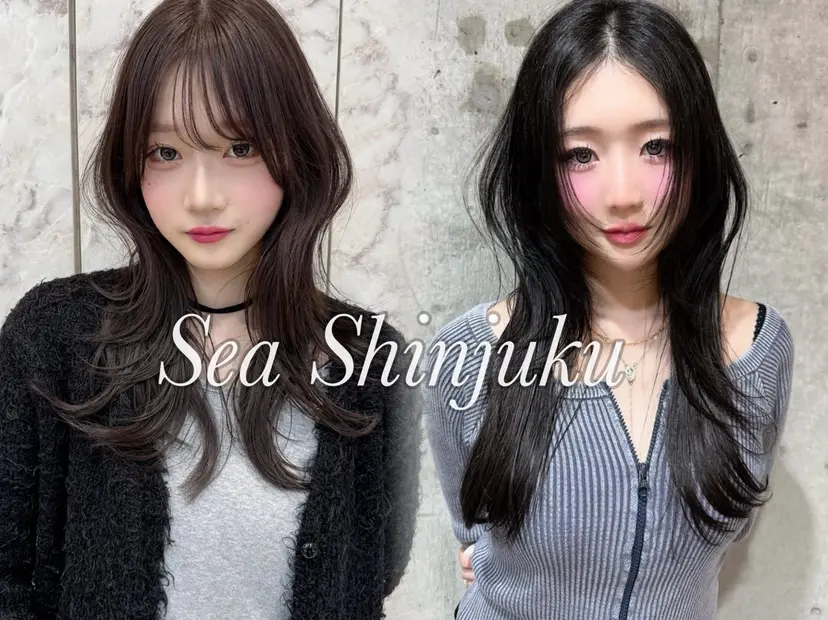 ハッシュカット/ 韓国レイヤーTERUの掲載