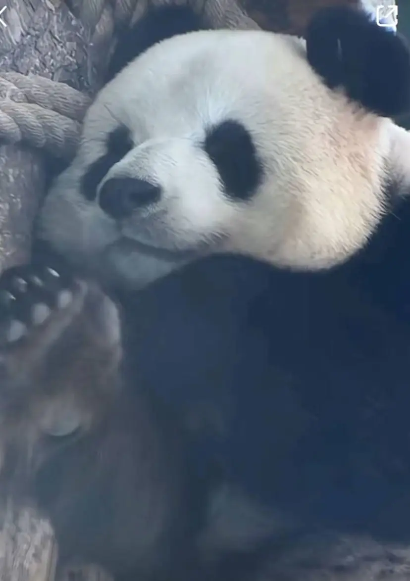 NFY-ちあき オフなし限定割引の掲載