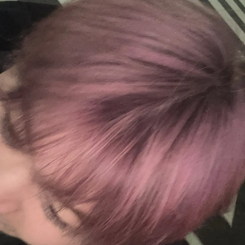 中西 世成の掲載