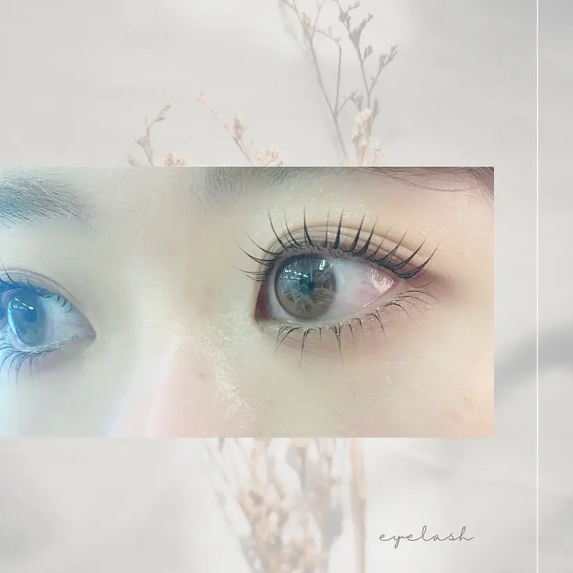 Shihomi Moriの掲載