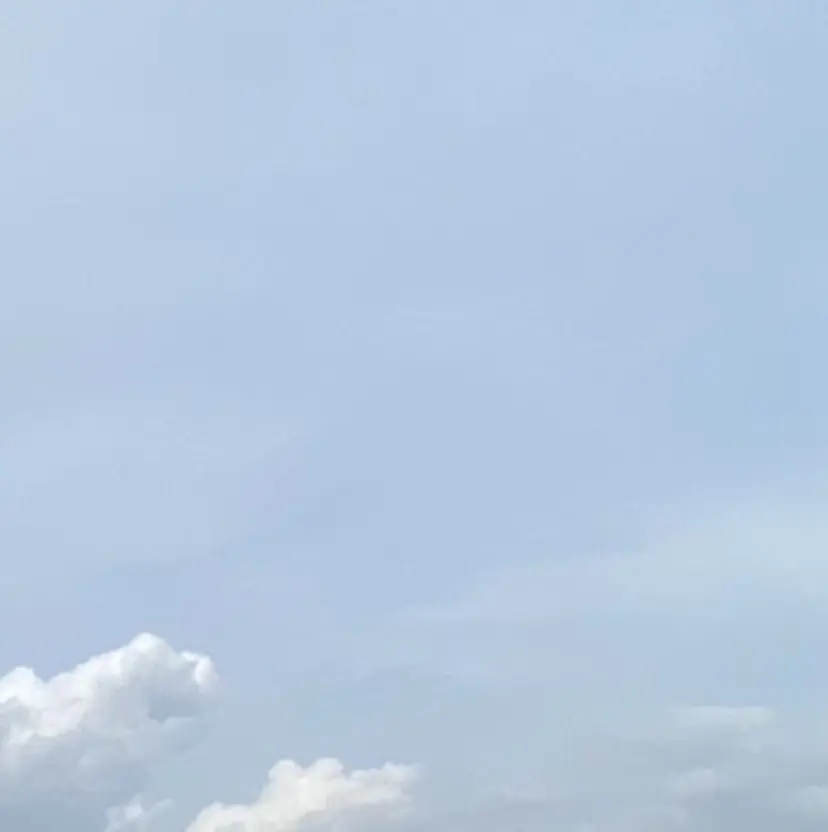 🌱 wakabaの掲載