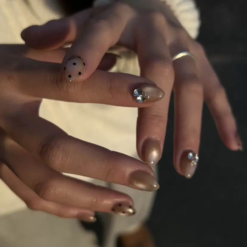 Amaranthus 柘植の掲載