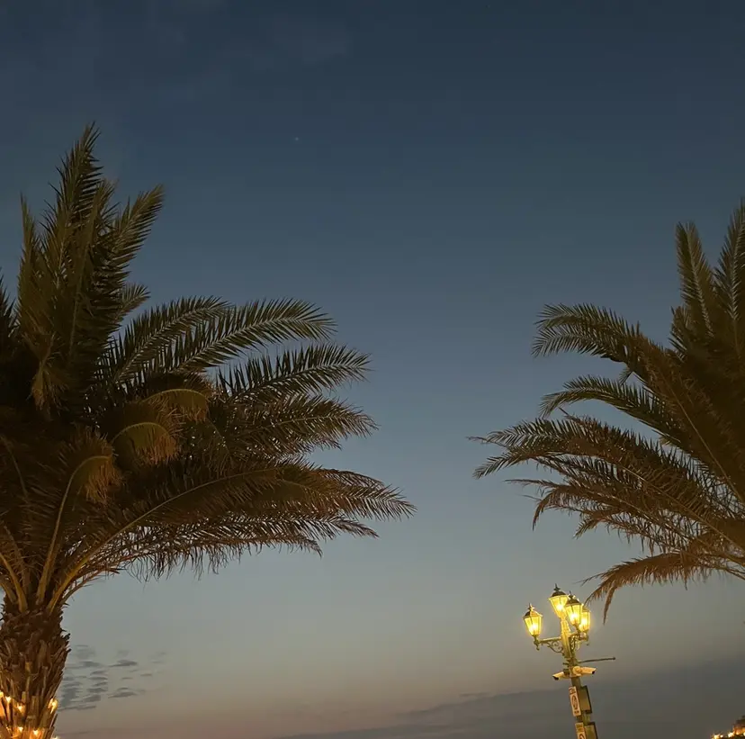 🌟カットモデル 募集中🌟りかの掲載