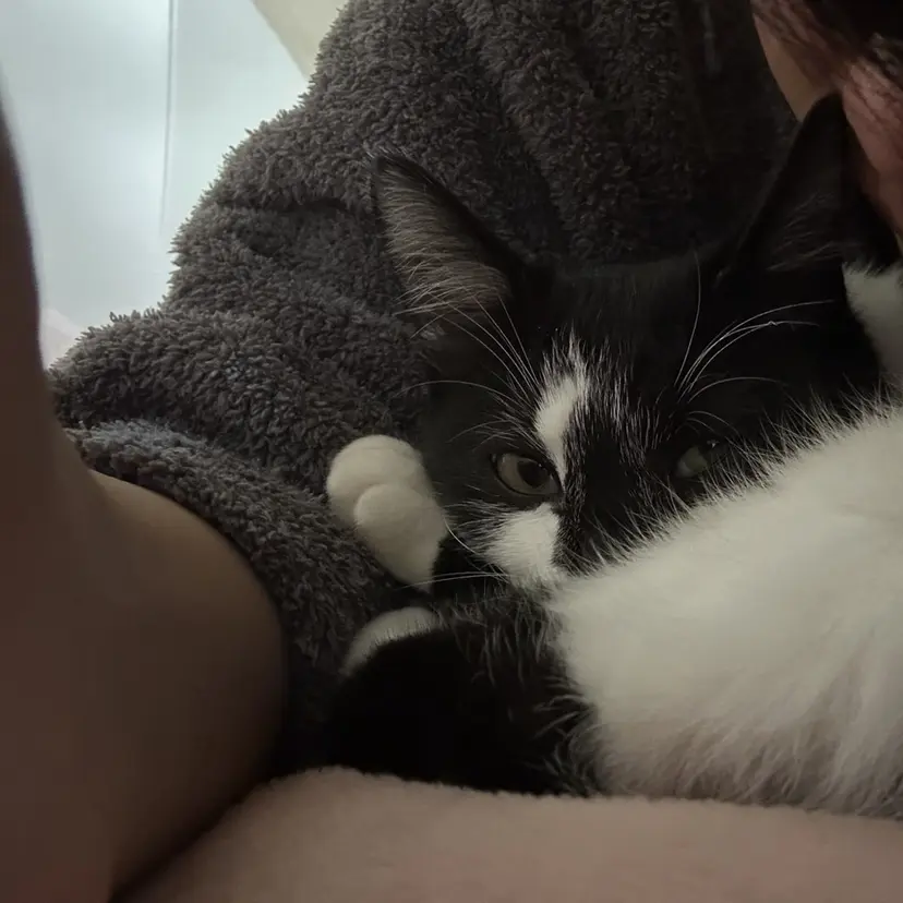 蜂須賀 輝の掲載