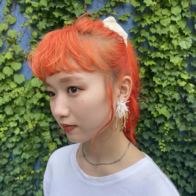 Yahiko ハイトーンの掲載