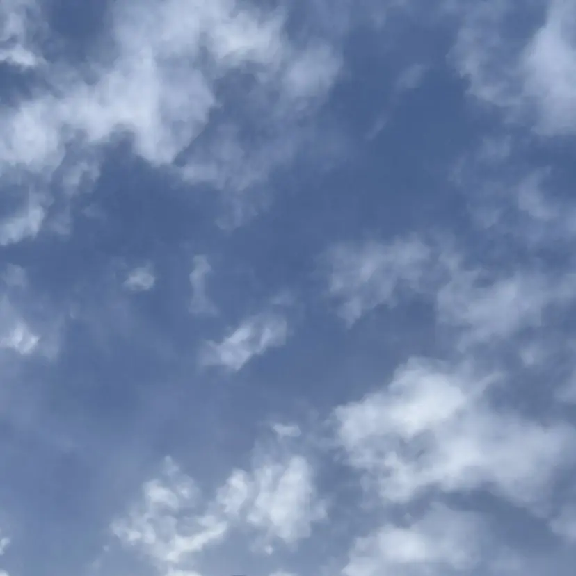 カネコ ノノカの掲載