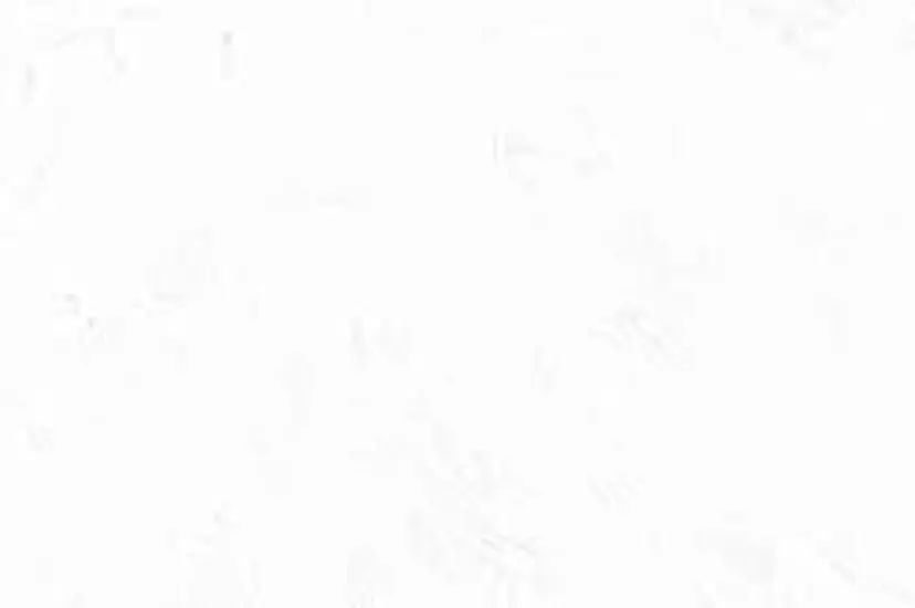 コルギ ですの掲載