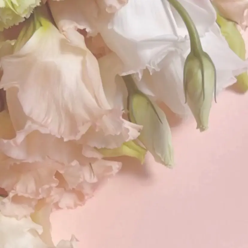 正木 愛美の掲載