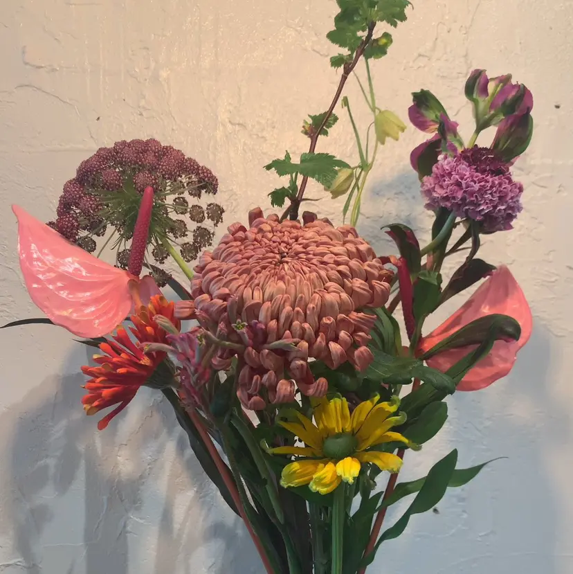 可児 佑梨の掲載