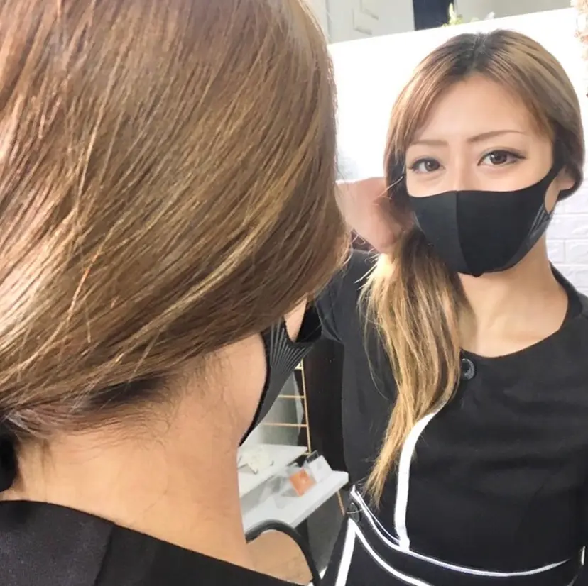 Lumus Solarumの掲載