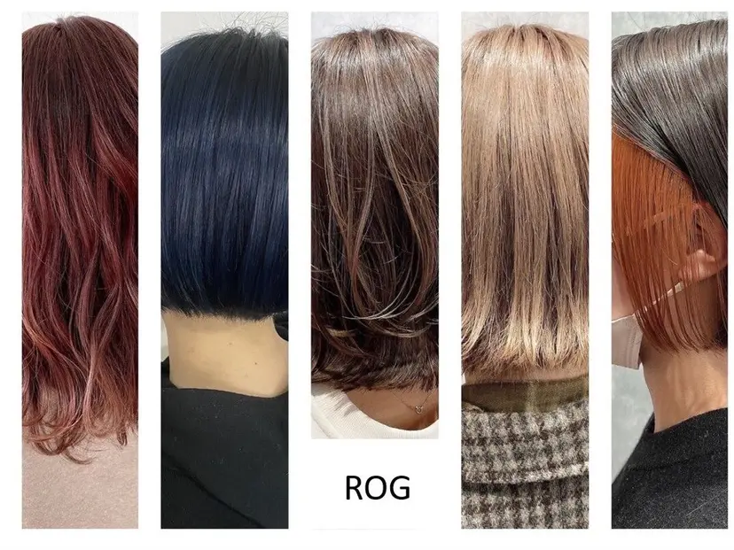 小川 乃愛の掲載