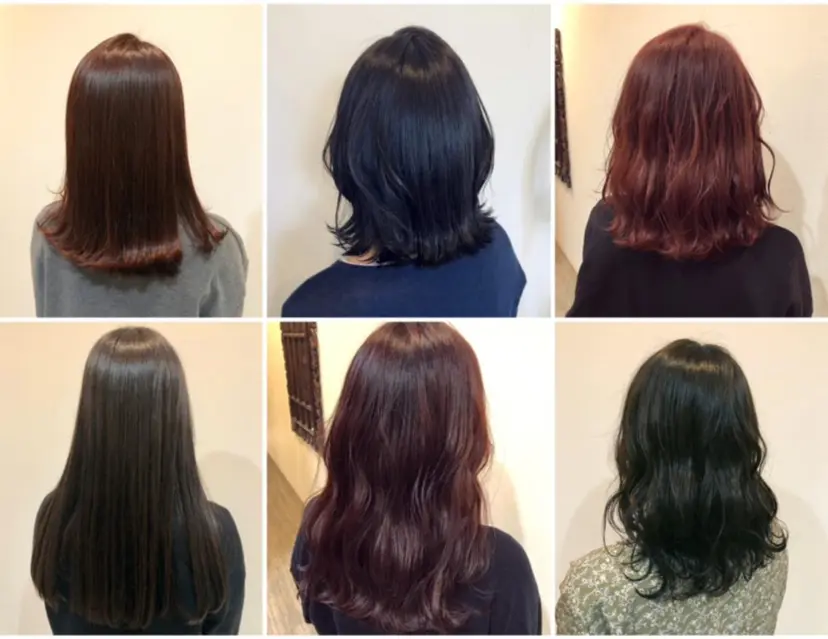 森田 真由の掲載