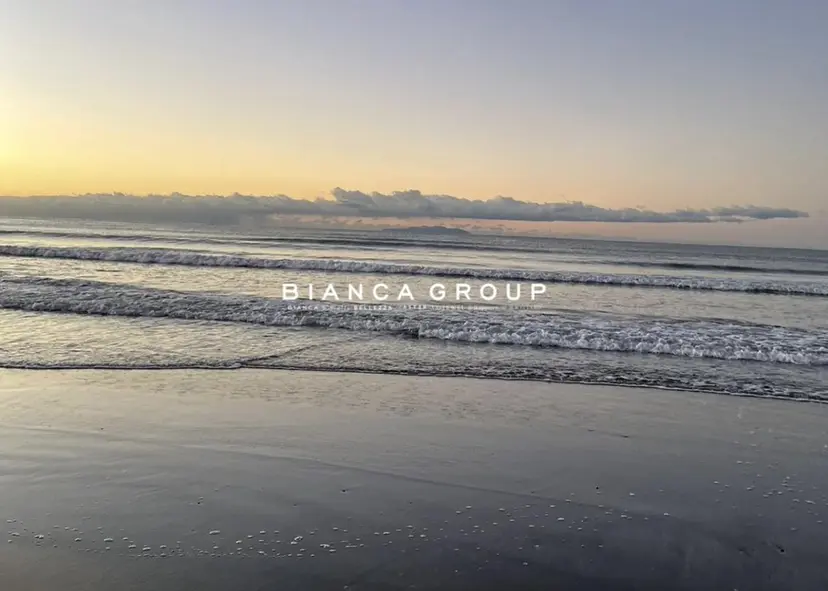 Bianca Sakura⠀の掲載