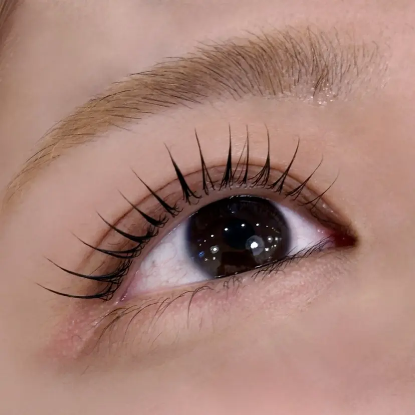 SourCil 💜 Aimiの掲載