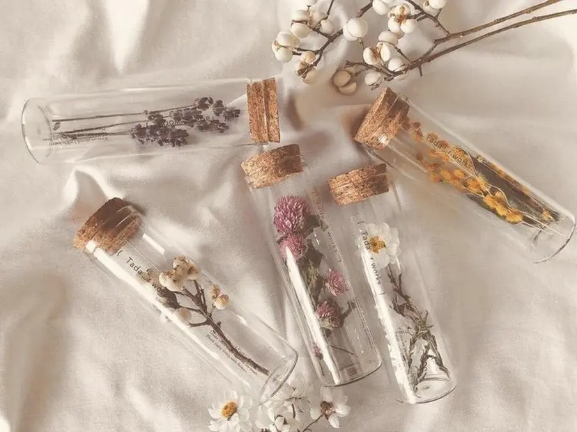 牧 ゆりか𓋈の掲載